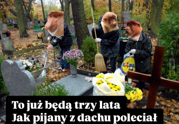 Śmieszny mem: 9162383 - MemLand