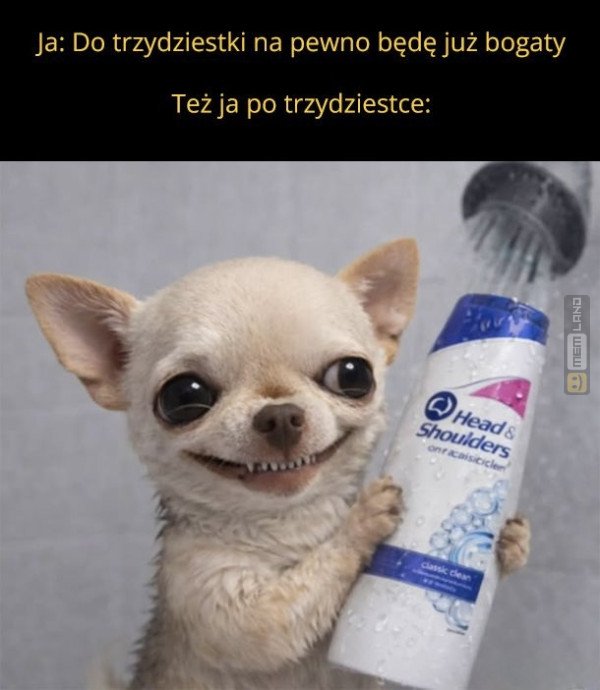 Śmieszny mem: 9164397 - MemLand
