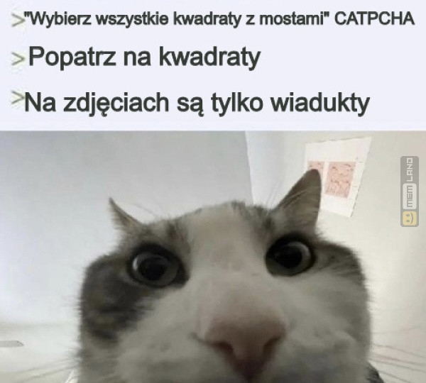 Śmieszny mem: 9167770 - MemLand