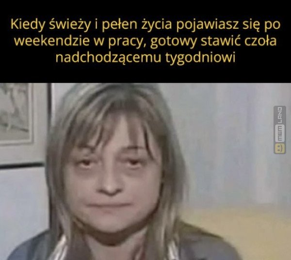 Śmieszny mem: 9168284 - MemLand