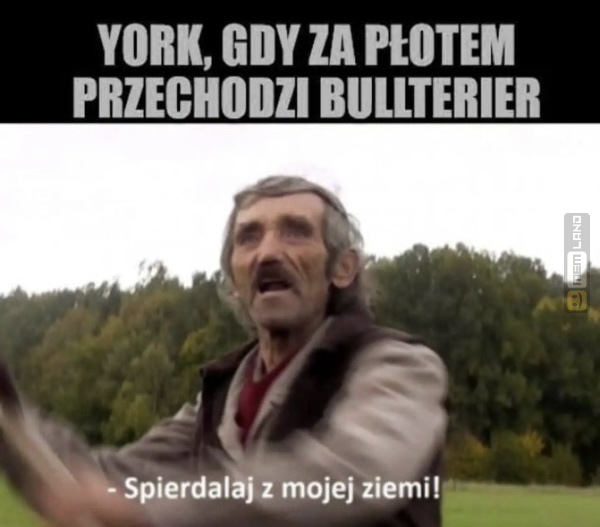 Śmieszny mem: 9169513 - MemLand