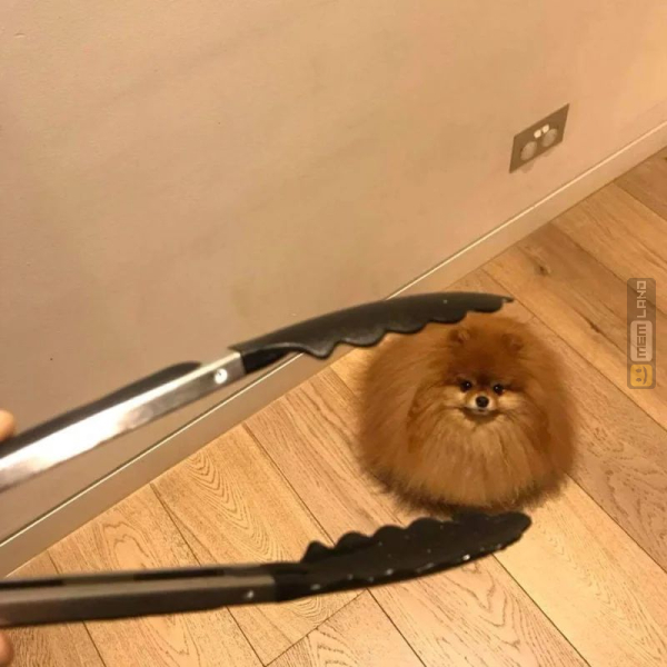 Śmieszny mem: 9171466 - MemLand