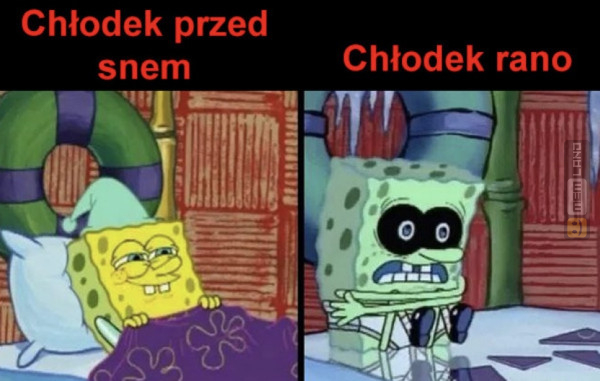 Śmieszny mem: 9177518 - MemLand