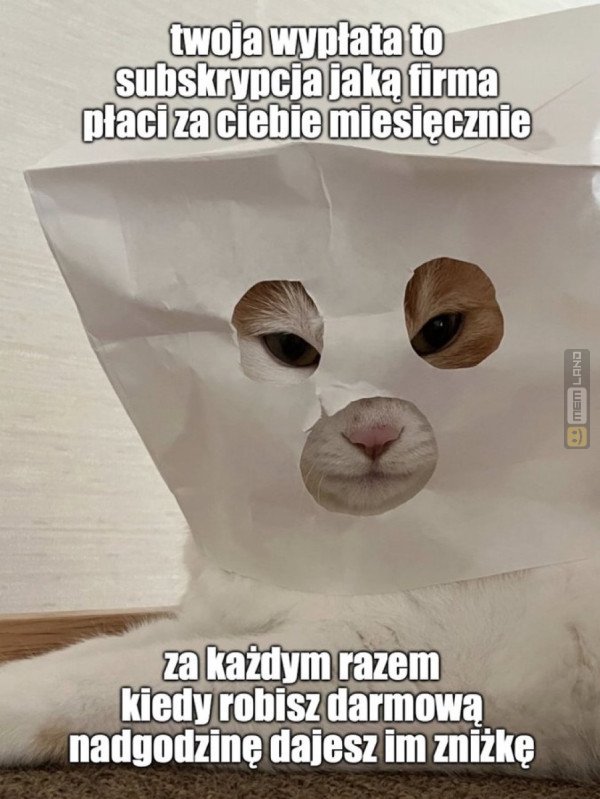 Śmieszny mem: 9179237 - MemLand
