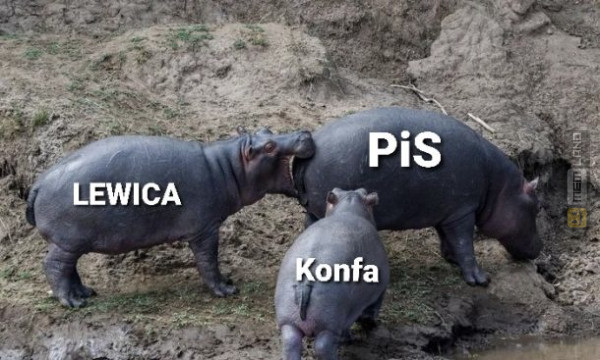 Śmieszny mem: 9180567 - MemLand