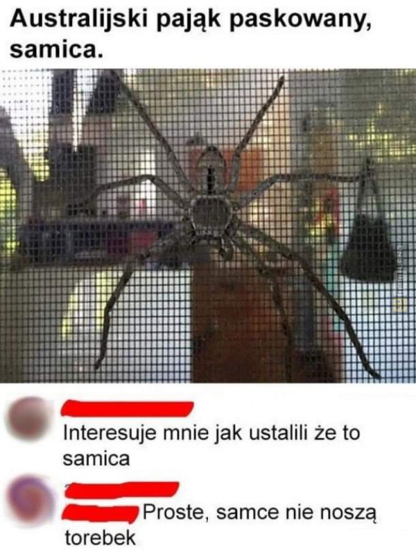 Śmieszny mem: 9181936 - MemLand