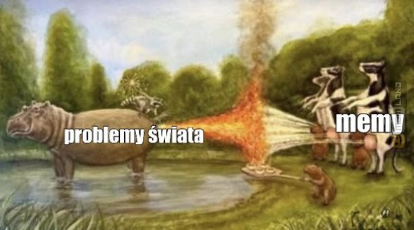 Śmieszny mem: 9189087 - MemLand