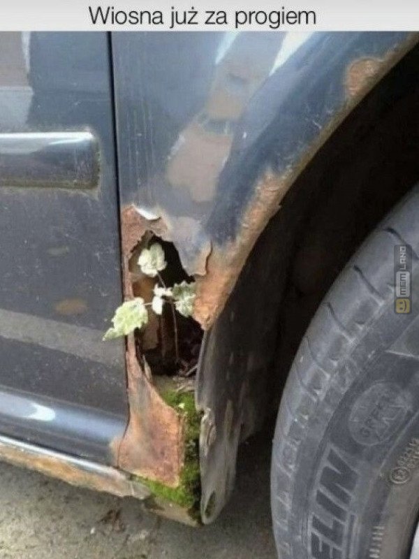 Śmieszny mem: 9195707 - MemLand