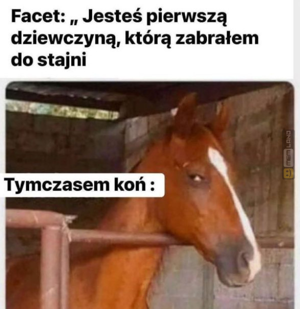 Śmieszny mem: 9200843 - MemLand