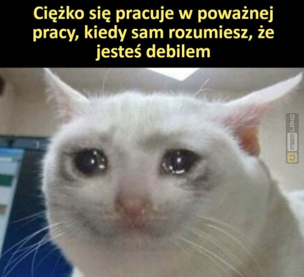 Śmieszny mem: 9206182 - MemLand