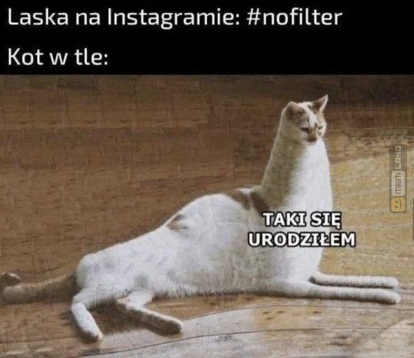 Śmieszny mem: 9209091 - MemLand