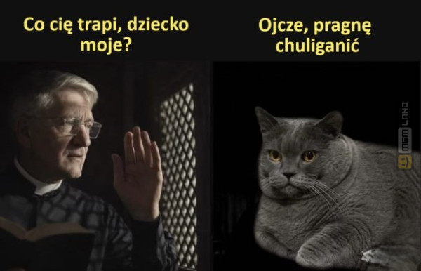 Śmieszny mem: 9215155 - MemLand