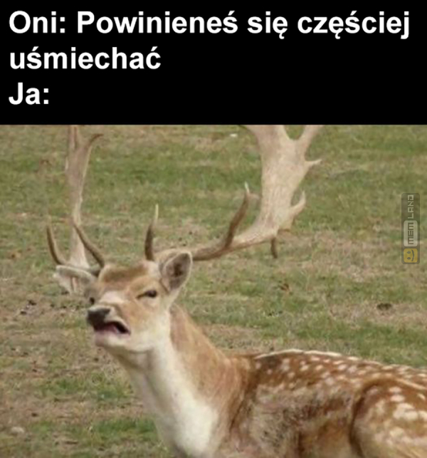 Śmieszny mem: 9219964 - MemLand