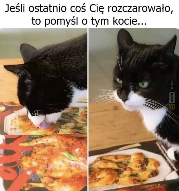 Śmieszny mem: 9224016 - MemLand