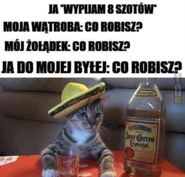 Śmieszny mem: 9224604 - MemLand