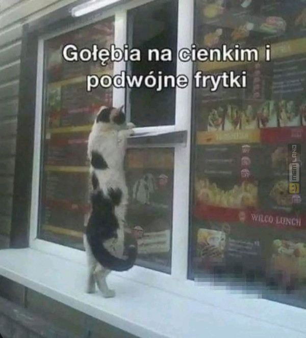 Śmieszny mem: 9224866 - MemLand