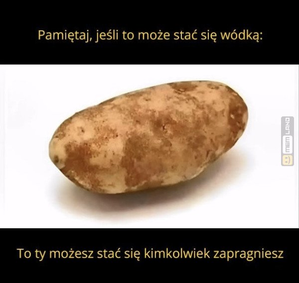 Śmieszny mem: 9226086 - MemLand