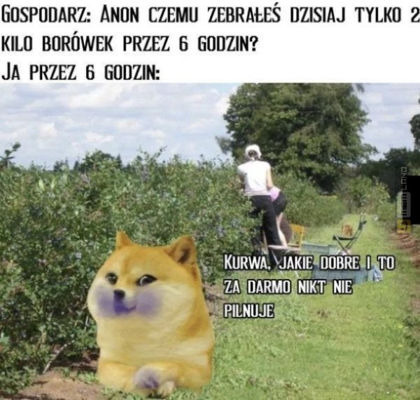 Śmieszny mem: 9228662 - MemLand
