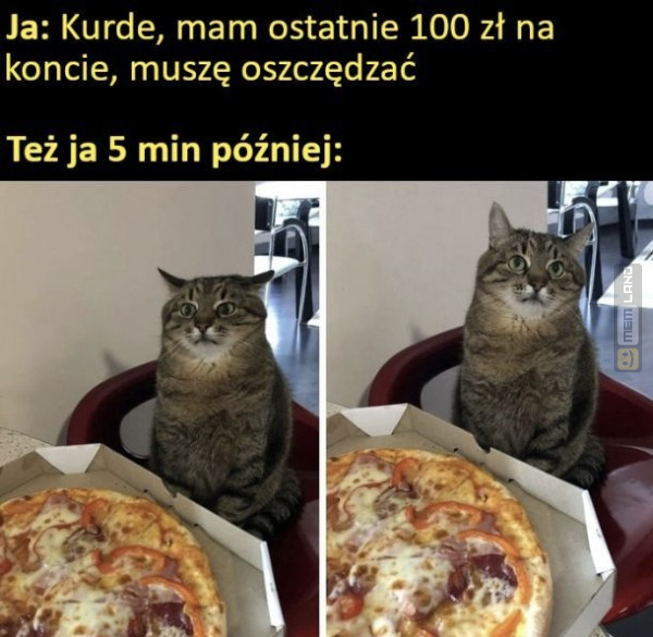 Śmieszny mem: 9232367 - MemLand