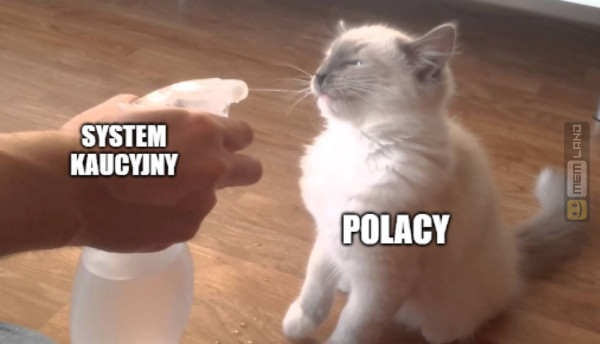 Śmieszny mem: 9245927 - MemLand