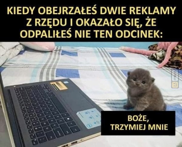 Śmieszny mem: 9250301 - MemLand