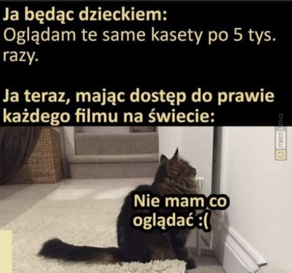 Śmieszny mem: 9258085 - MemLand