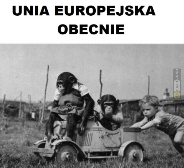 Śmieszny mem: 9258698 - MemLand