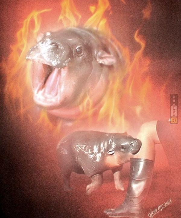 Śmieszny mem: 9267161 - MemLand