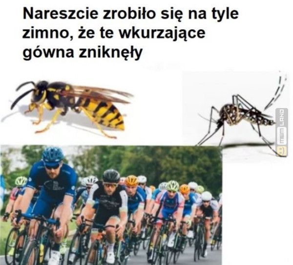 Śmieszny mem: 9273825 - MemLand