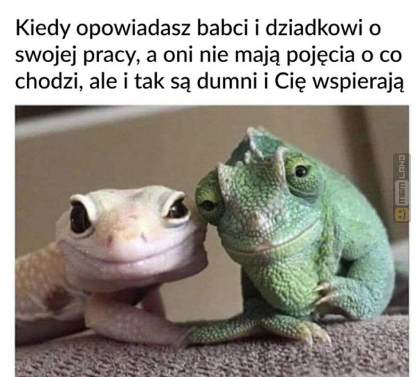 Śmieszny mem: 9278979 - MemLand