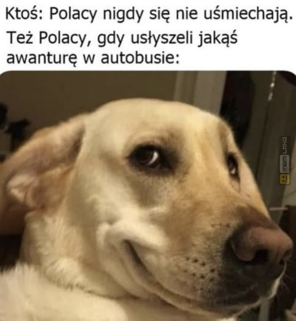 Śmieszny mem: 9288219 - MemLand