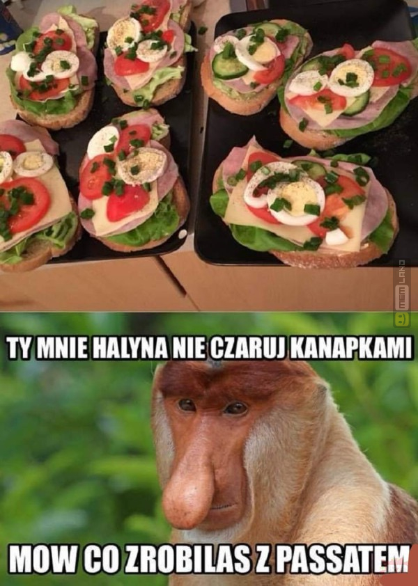 Śmieszny mem: 9289698 - MemLand