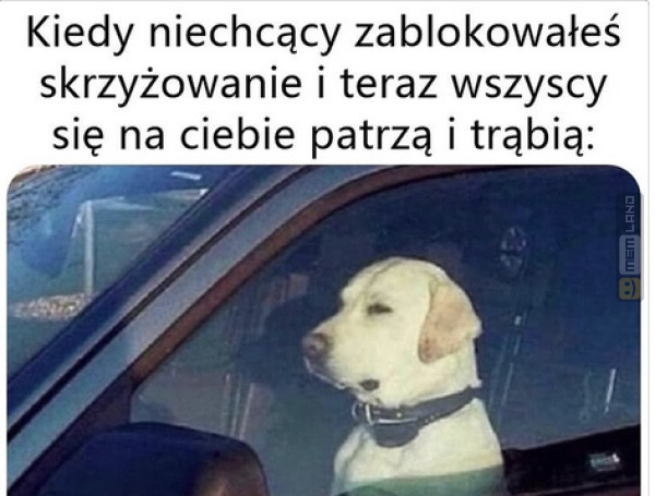 Śmieszny mem: 9296780 - MemLand