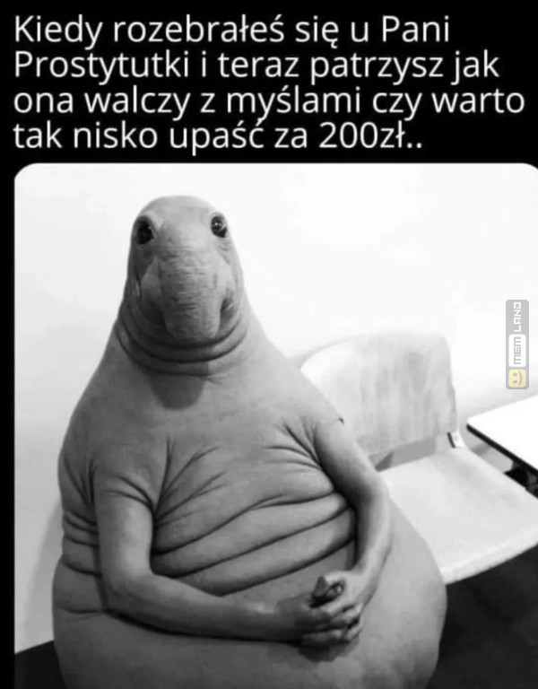 Śmieszny mem: 9311238 - MemLand