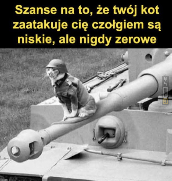 Śmieszny mem: 9314524 - MemLand