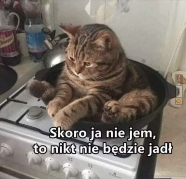 Śmieszny mem: 9318800 - MemLand