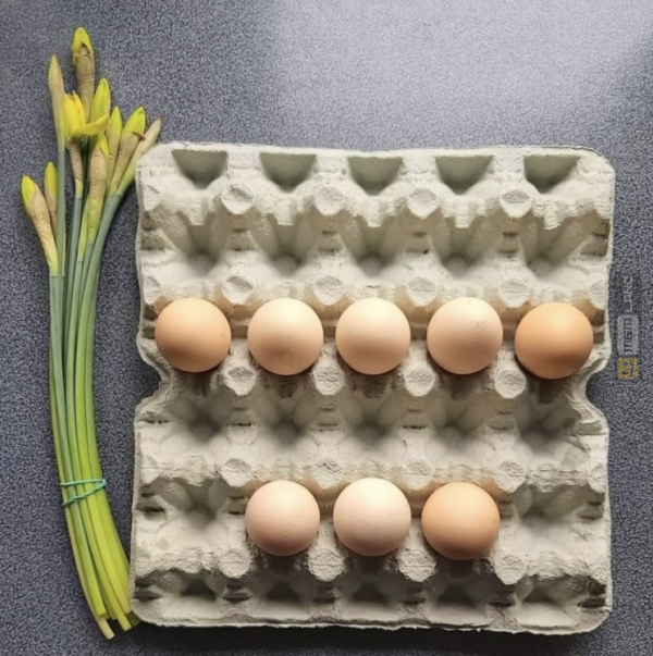 Śmieszny mem: 9320441 - MemLand