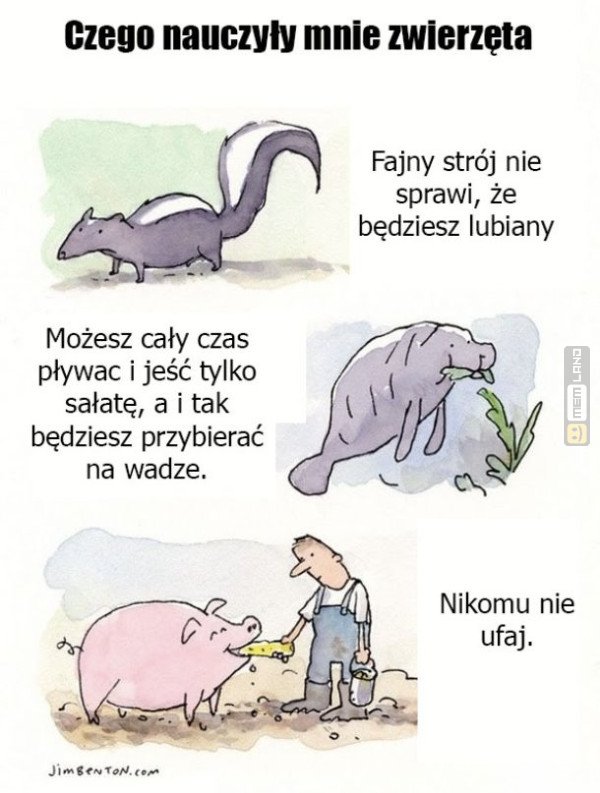Śmieszny mem: 9320722 - MemLand