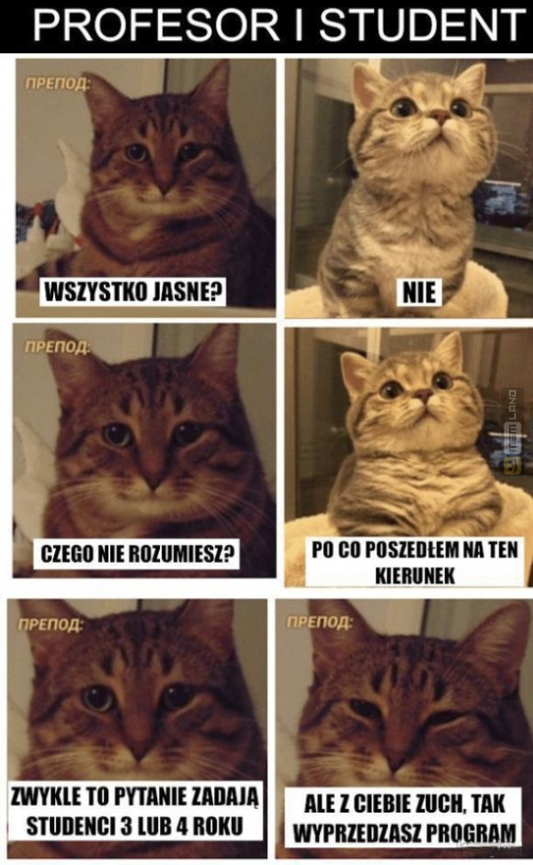 Śmieszny mem: 9320747 - MemLand