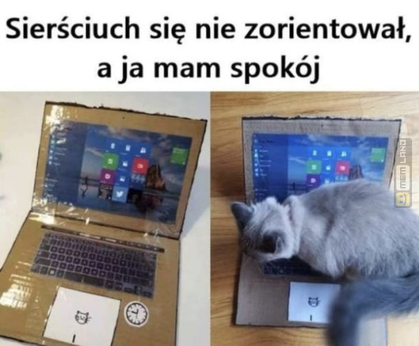 Śmieszny mem: 9321904 - MemLand