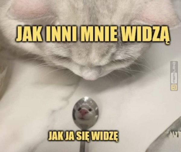 Śmieszny mem: 9336501 - MemLand