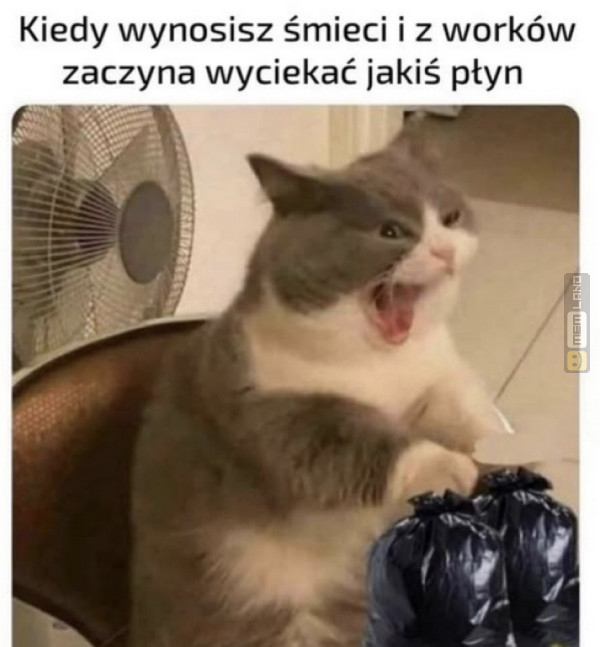 Śmieszny mem: 9346966 - MemLand