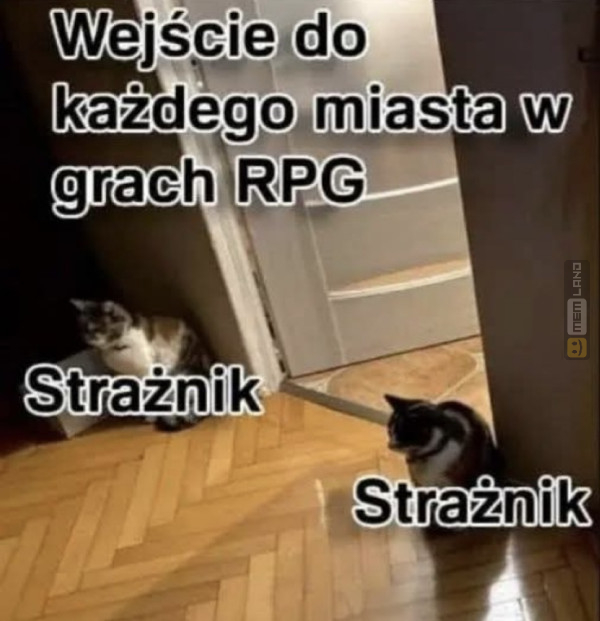 Śmieszny mem: 9351647 - MemLand