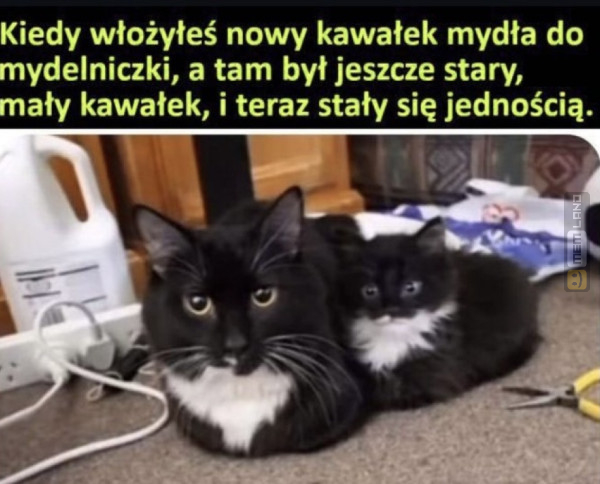 Śmieszny mem: 9370108 - MemLand