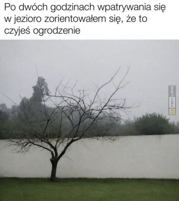 Śmieszny mem: 9371811 - MemLand