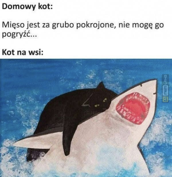 Śmieszny mem: 9375672 - MemLand