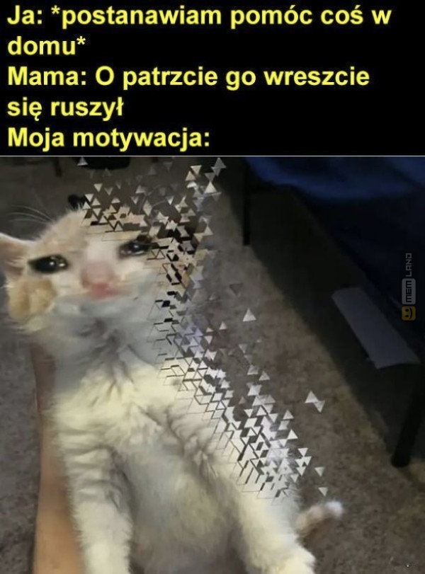 Śmieszny mem: 9385240 - MemLand