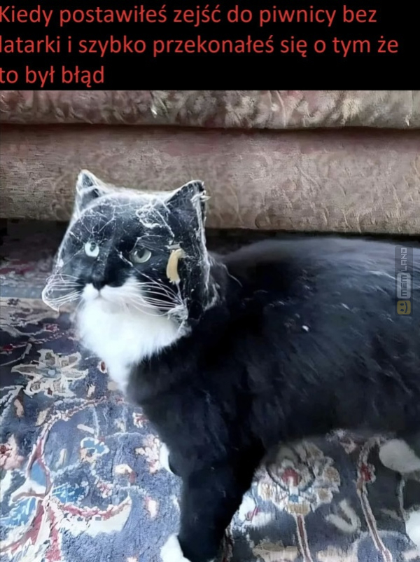 Śmieszny mem: 9386550 - MemLand