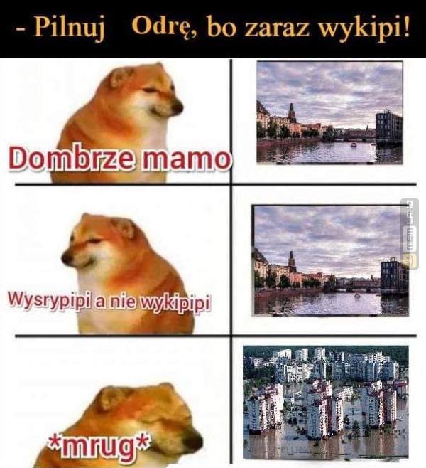 Śmieszny mem: 9390528 - MemLand