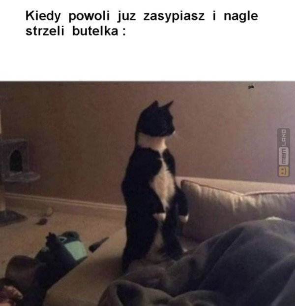 Śmieszny mem: 9393322 - MemLand